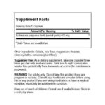 Swanson, Echinacea, 400 mg, 100 Capsules - Image 2