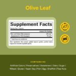 Natural Factors, HerbalFactors, Olive Leaf, 500 mg, 90 Capsules - Image 2